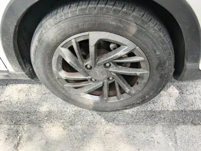 NETA Neta V