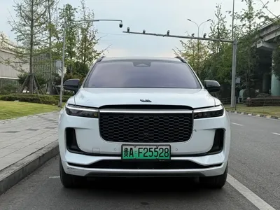 Li Auto Li ONE