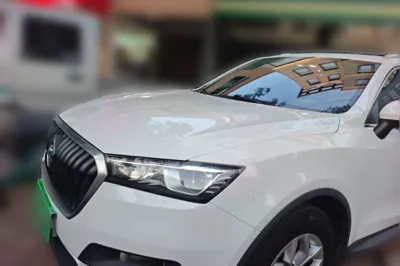 Borgward BX5