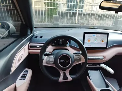 BYD Seagull