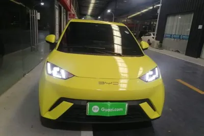 BYD Seagull
