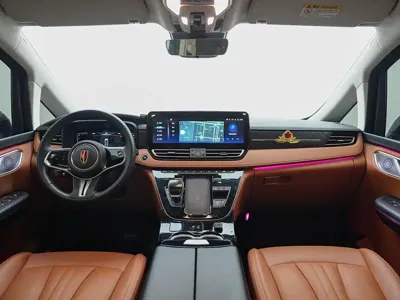 Hongqi Hongqi HQ9