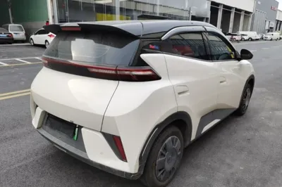 BYD Seagull