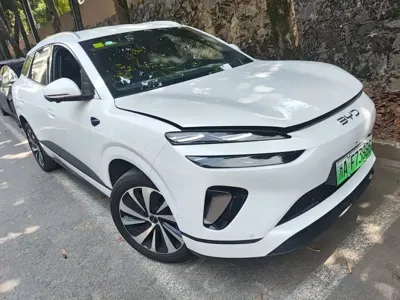 BYD 海狮06