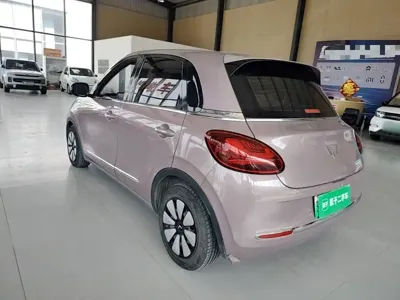 Wuling Bingo
