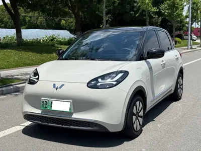 Wuling Bingo
