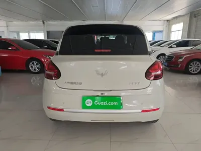 Wuling Bingo