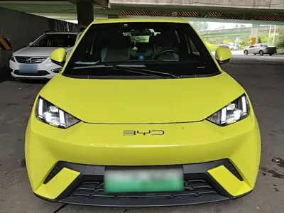 BYD Seagull