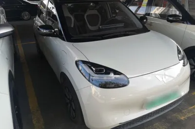 Wuling Bingo