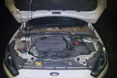 Ford Escort