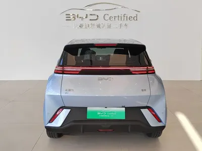 BYD Seagull