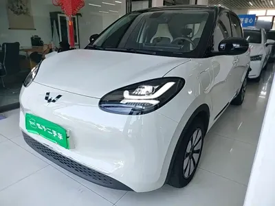 Wuling Bingo