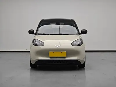 Wuling Bingo