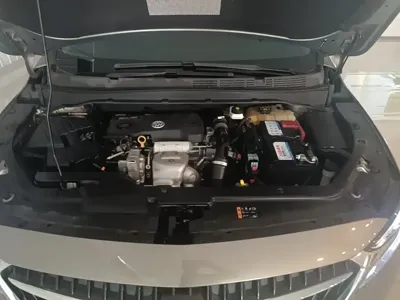 Buick GL6