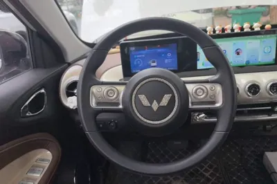 Wuling Bingo