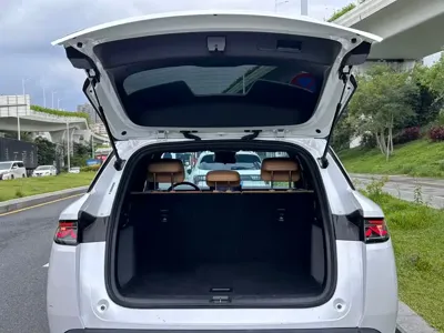 BYD L DM-i