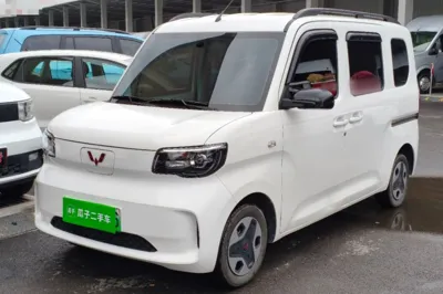 Wuling Zhiguang New Energy