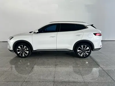 BYD PLUS New Energy