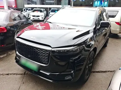 Li Auto Li ONE
