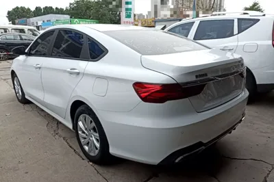 Geely Auto Binray