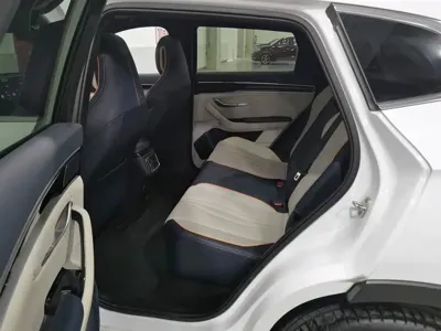 BYD PLUS New Energy
