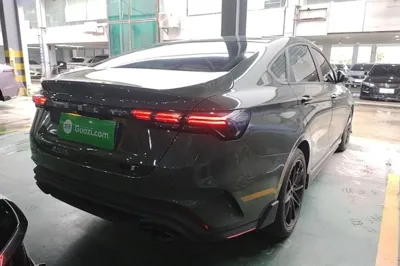 Geely Auto Binray