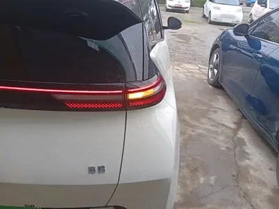 BYD Seagull