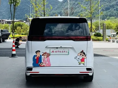 Denza Denza D9