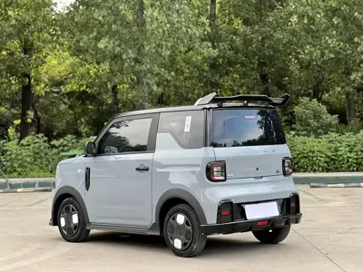 Galaxy Panda