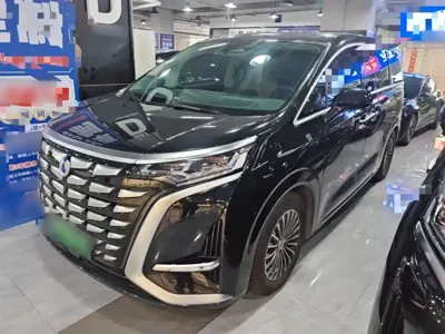 Denza Denza D9