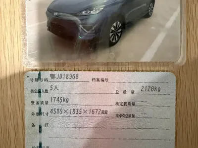 WM Motor EX5