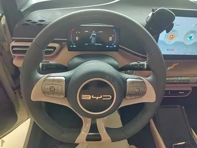 BYD Seagull