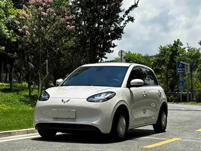 Wuling Bingo