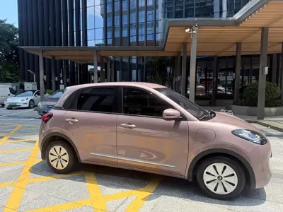 Wuling Bingo