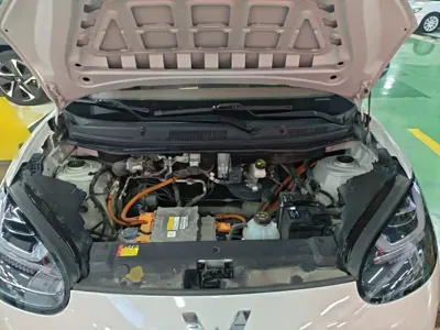Wuling Bingo