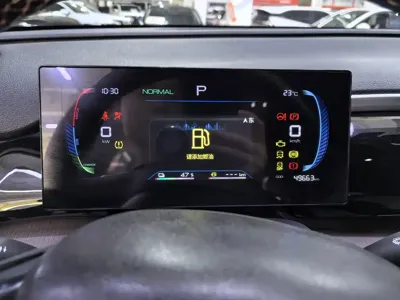 BYD Pro New Energy