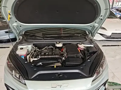 BYD 海豹06