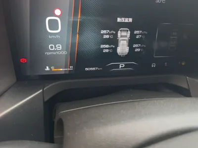 Tank 300