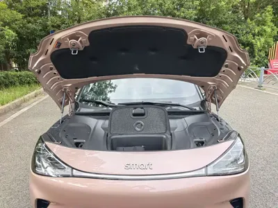 Smart Smart #1