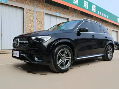 Mercedes-Benz 奔驰GLE(进口)
