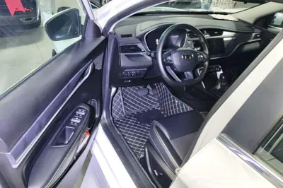 Geely Auto Binray