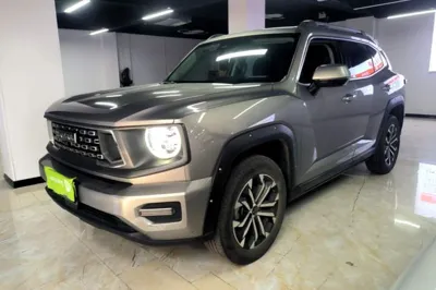 Haval H Dog