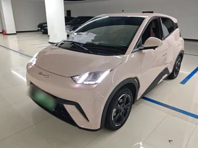 BYD Seagull