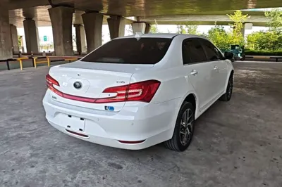 BYD Qin New Energy