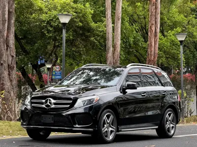 Mercedes-Benz 奔驰GLE(进口)