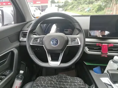 BYD Pro