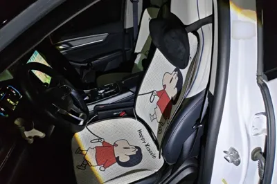 BYD Destroyer 05
