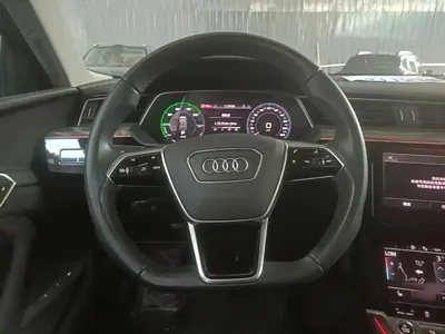 Audi e-tron (Import)