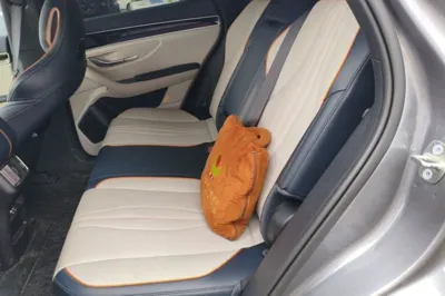 BYD Song PLUS New Energy
