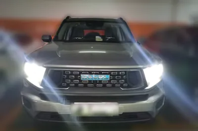 Haval H Dog New Energy